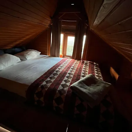Orange Hobbit House